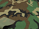 Ткань нейлоновая Cordura (Кордура) Woodland 1000D США детальная фотка